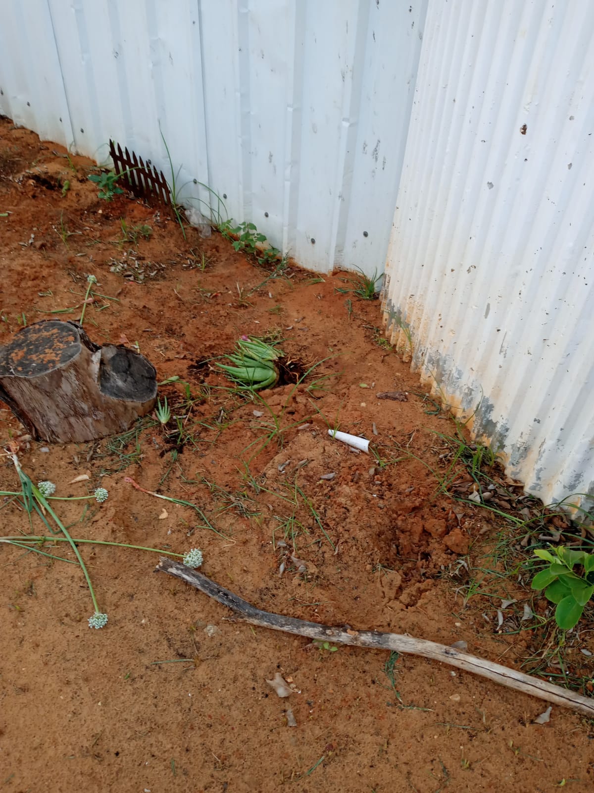 WhatsApp Image 2020-05-06 at 1.02.33 PM (2).jpeg.jpeg